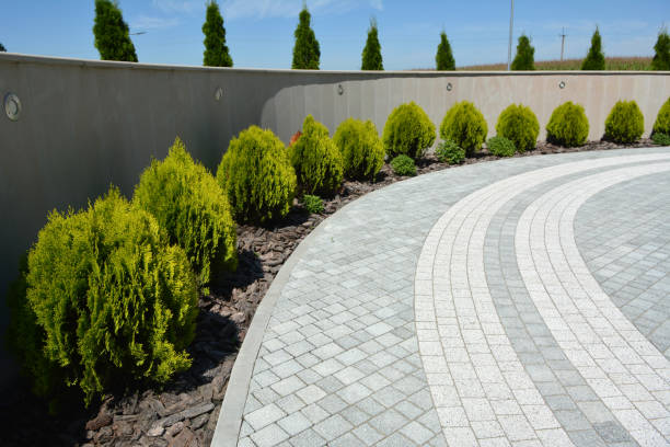Best Driveway Paver Repair  in Lewistown, MT